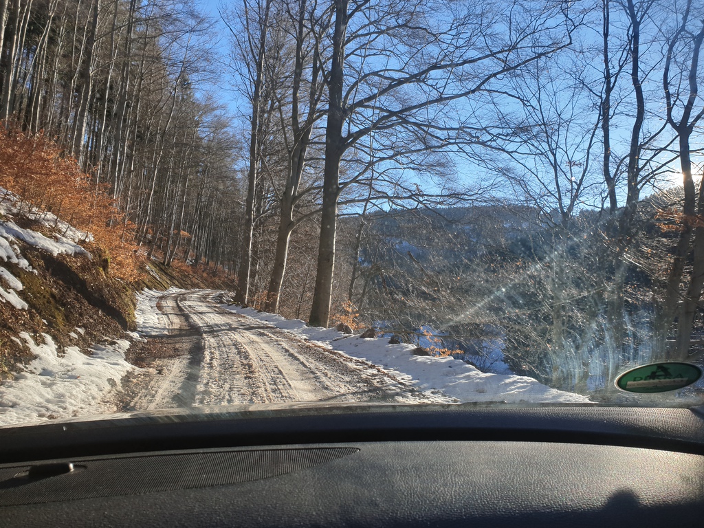 20190216_0920591yki0.jpg