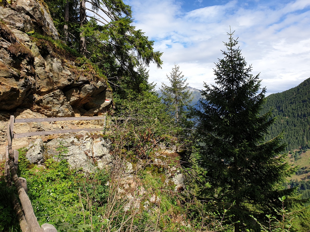 20190729_101730twjn6.jpg