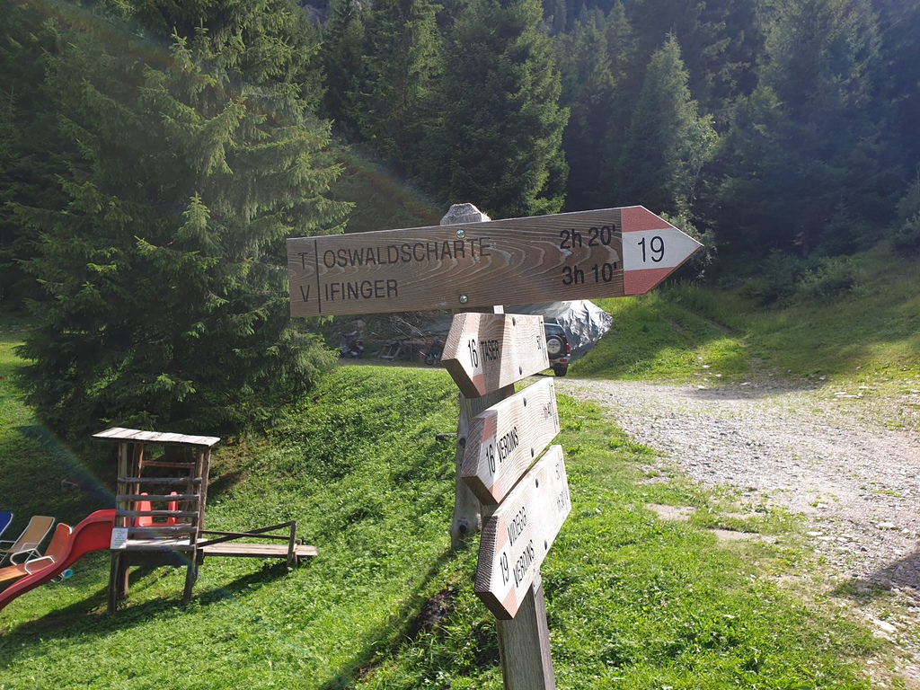 20190729_103542tyjl2.jpg