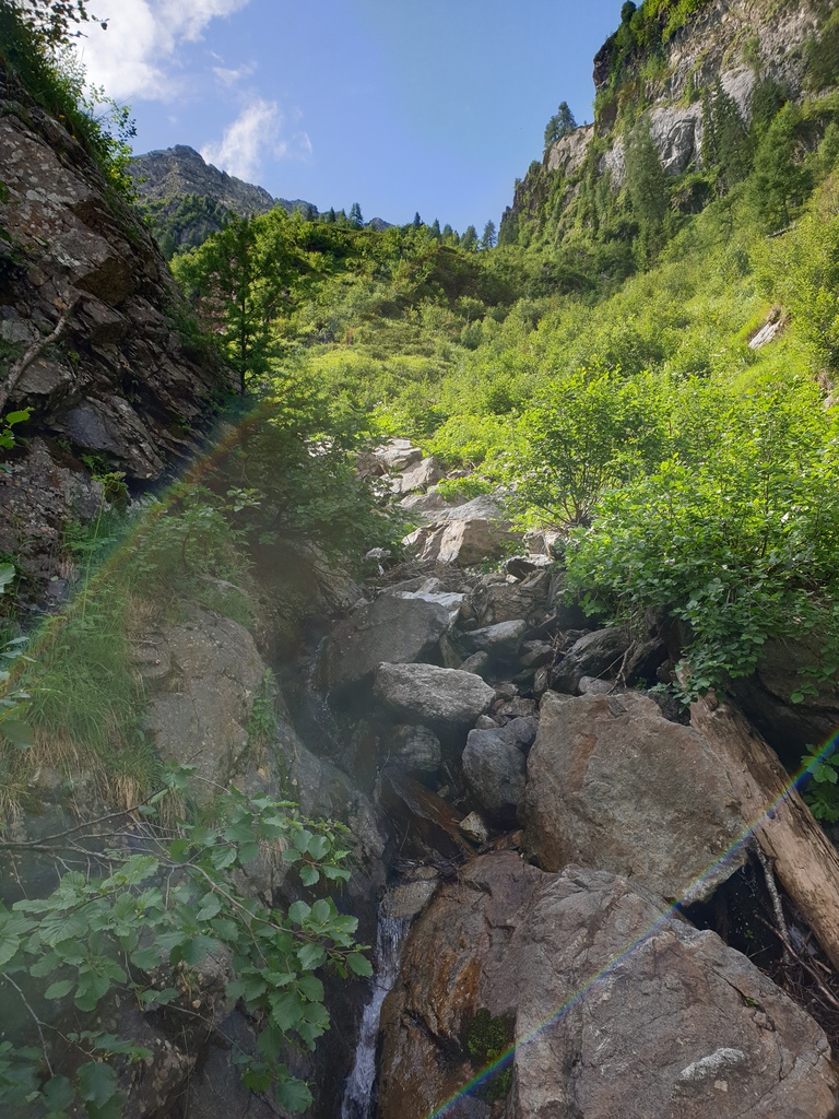 20190729_105050itknj.jpg