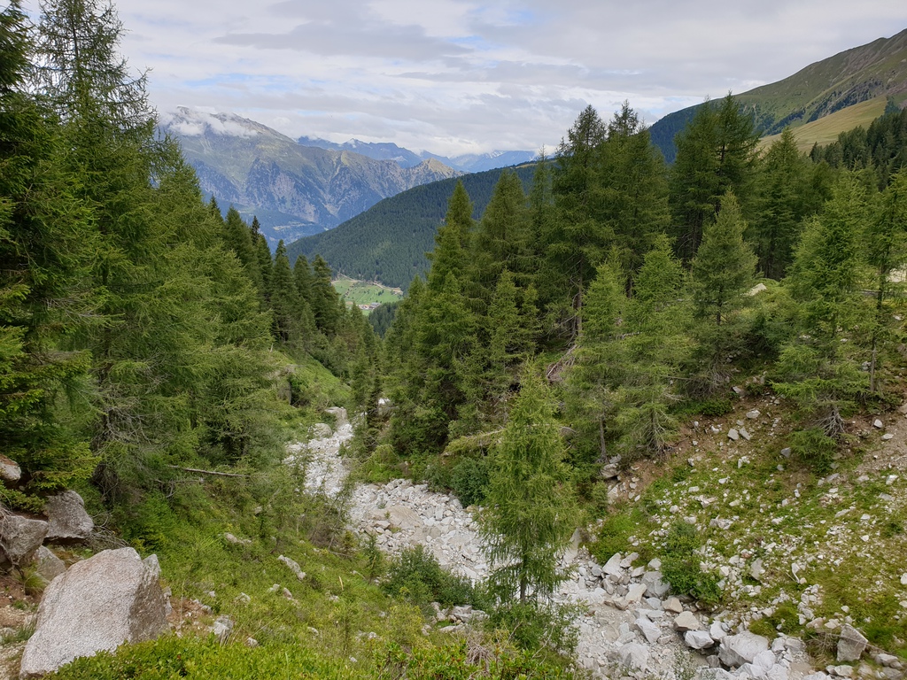 20190729_111656fyjam.jpg
