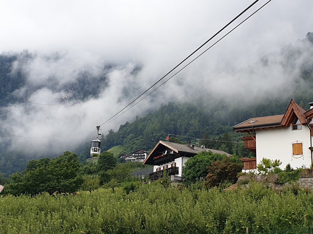 20190731_093925plk33.jpg