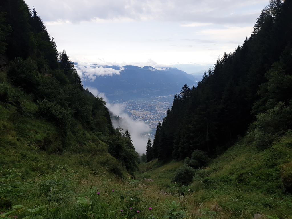 20190731_103155cnja9.jpg