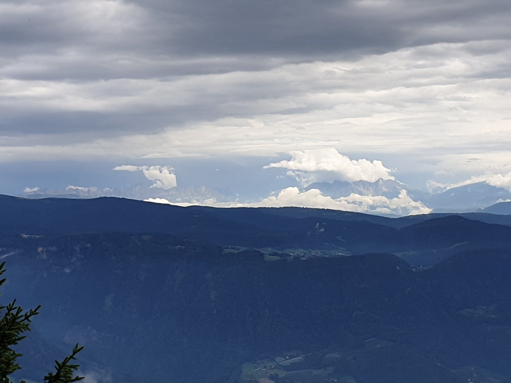 20190731_1536038ejut.jpg