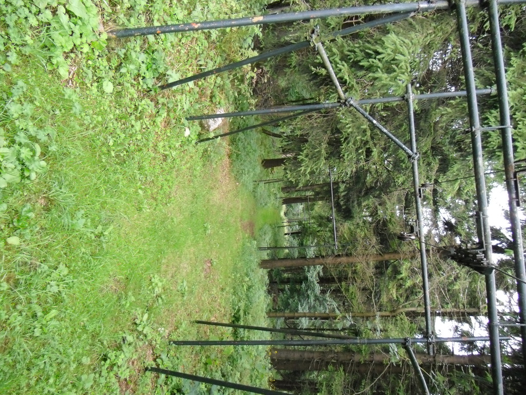 cimg04834ii93.jpg
