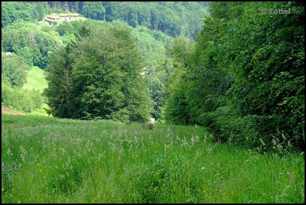 dsc07867x2jk8.jpg