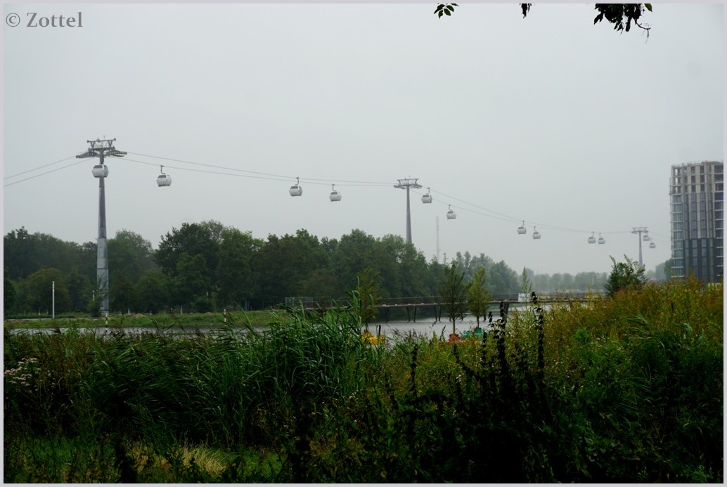 dsc099156mjxi.jpg