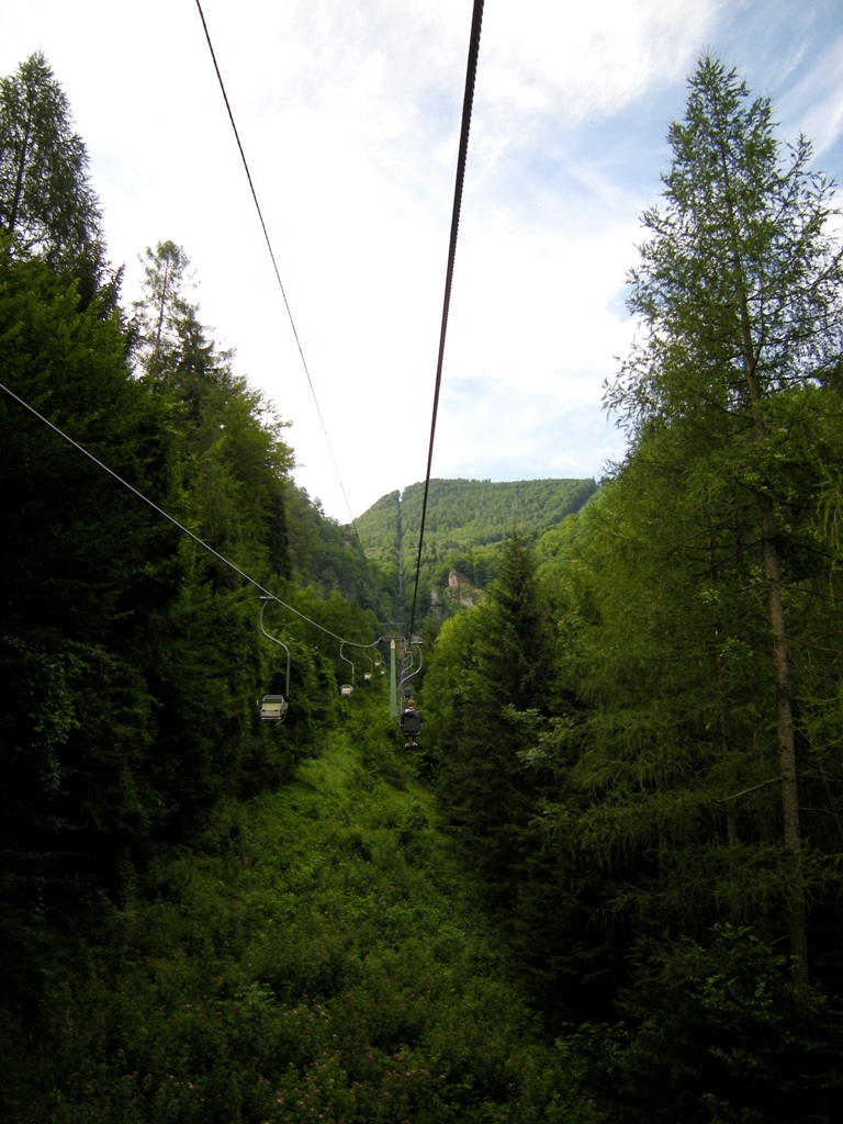 dscn0266q4jmb.jpg