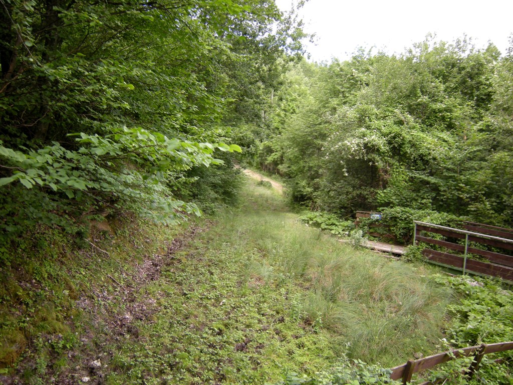 dscn0291oukr7.jpg
