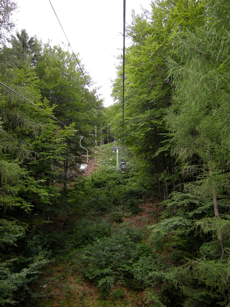 dscn0297gokcu.jpg