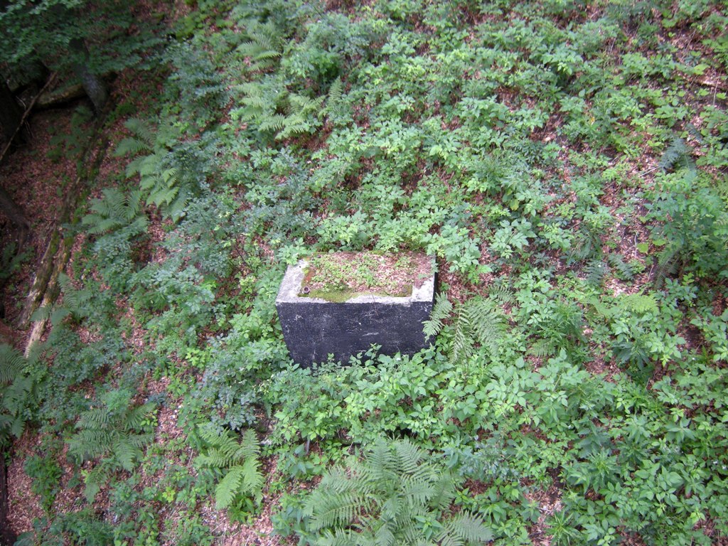 dscn03048uku0.jpg