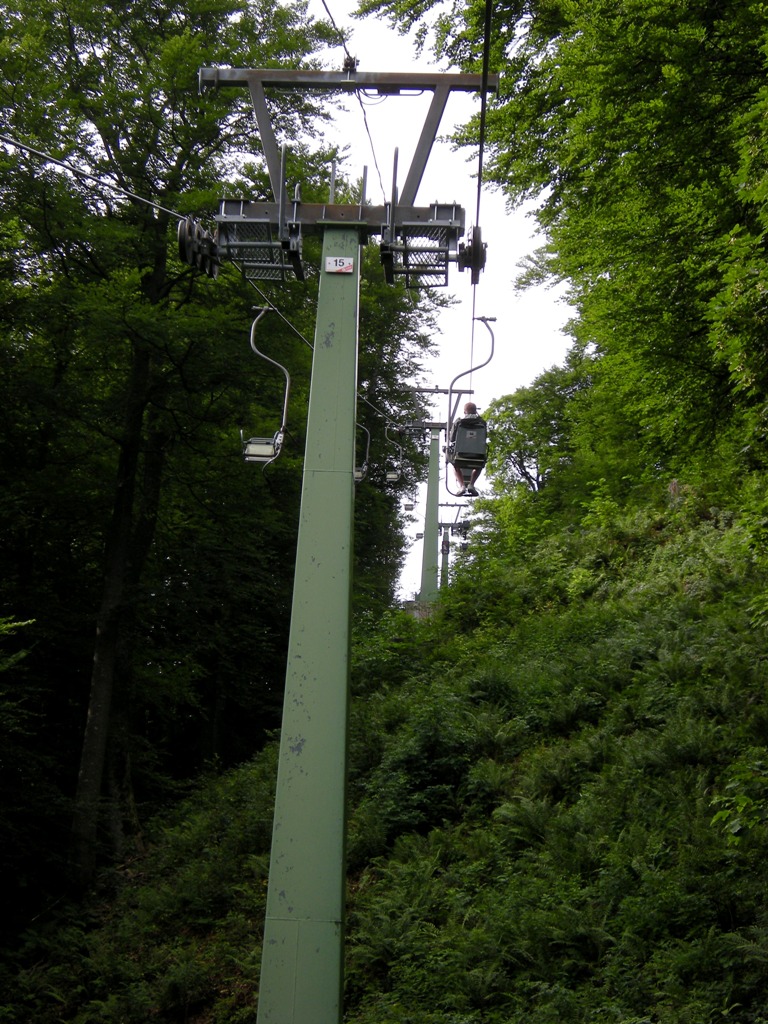dscn03054qjow.jpg