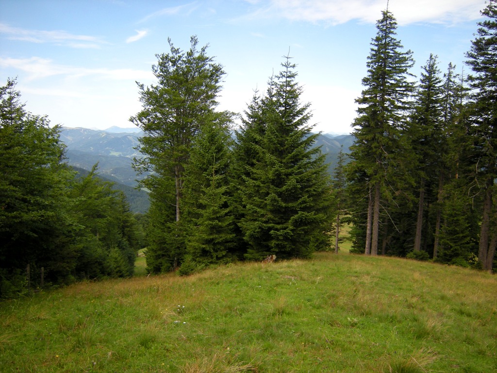 dscn03371wkq5.jpg