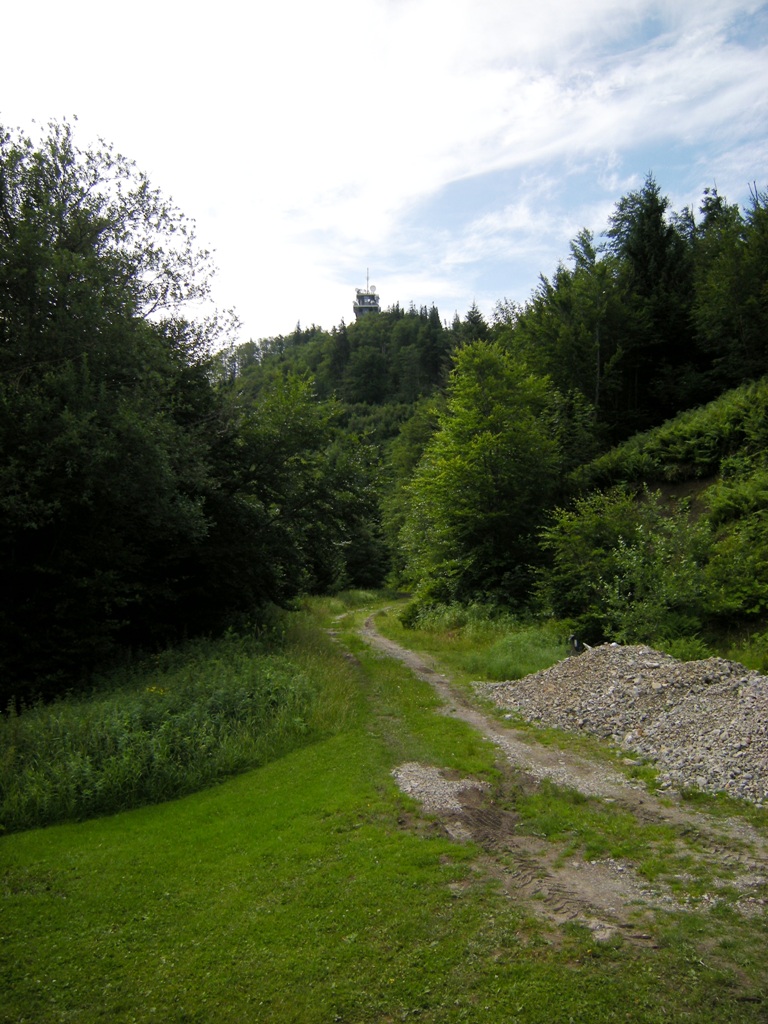 dscn0347vdk8b.jpg
