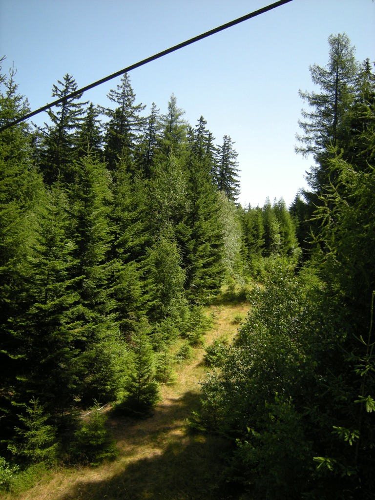 dscn04667djva.jpg