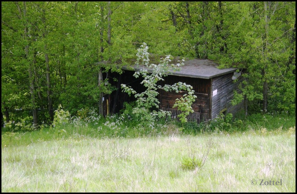 dscn20340mi5u.jpg