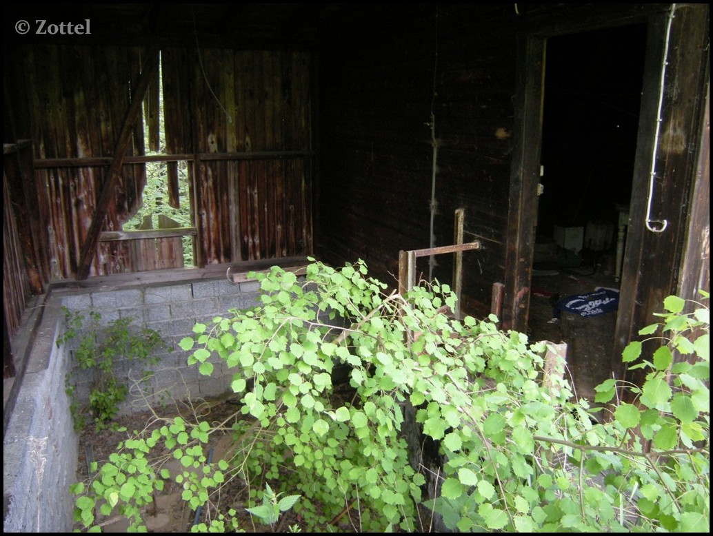 dscn2059hze3u.jpg