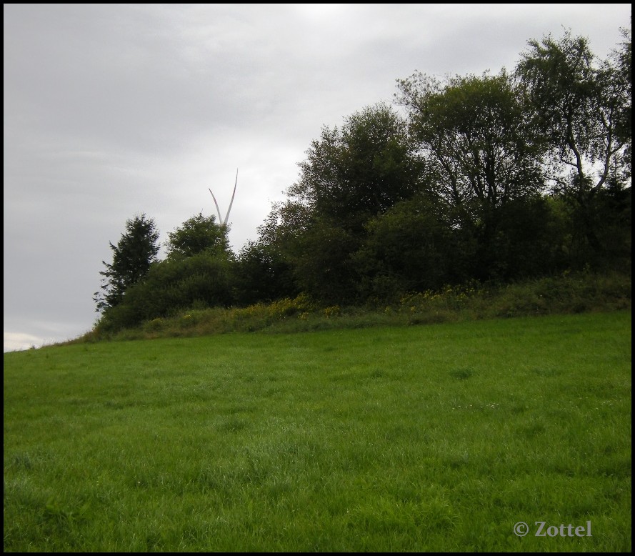 dscn4346muc1z.jpg