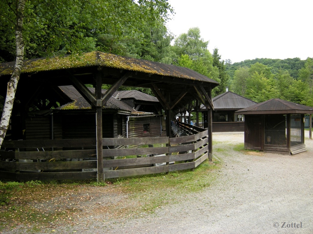 dscn7298krkgi.jpg