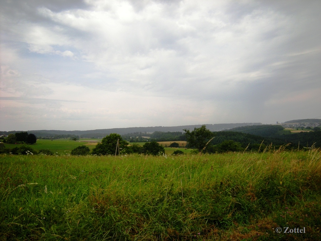 dscn7310y3kl9.jpg