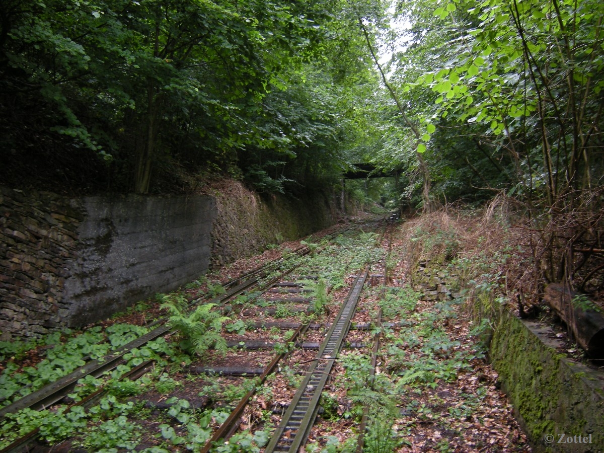 dscn73180njjv.jpg