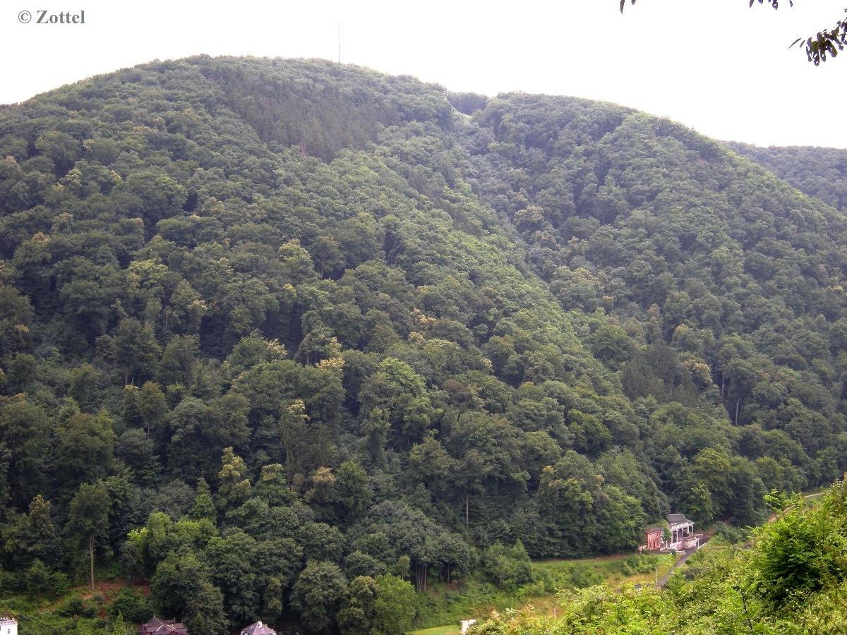 dscn7384r7kyr.jpg