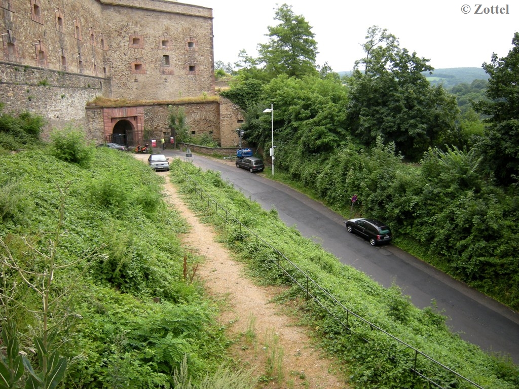 dscn7425diju8.jpg
