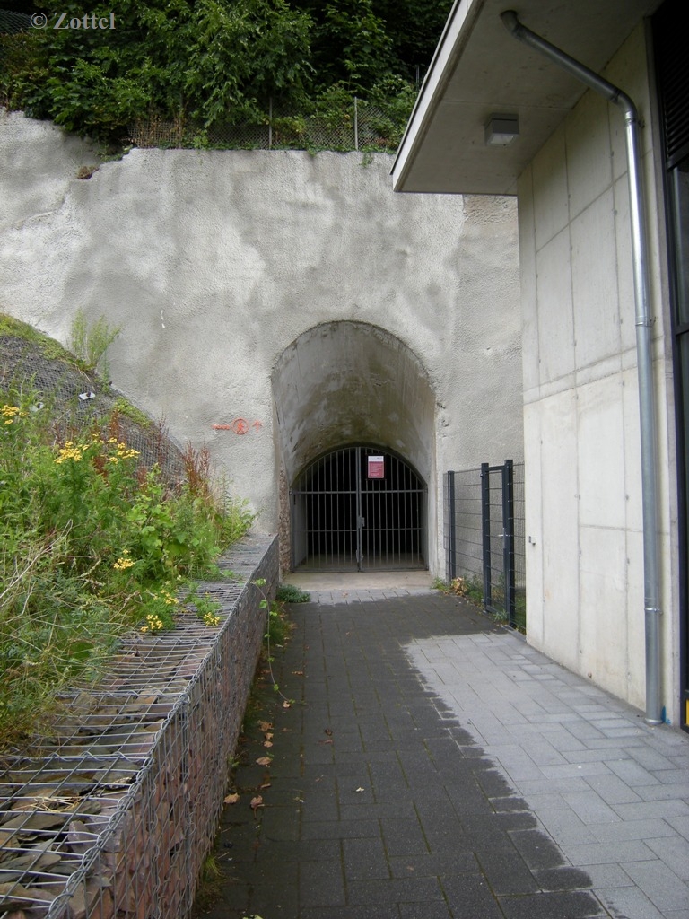 dscn7437m7koy.jpg
