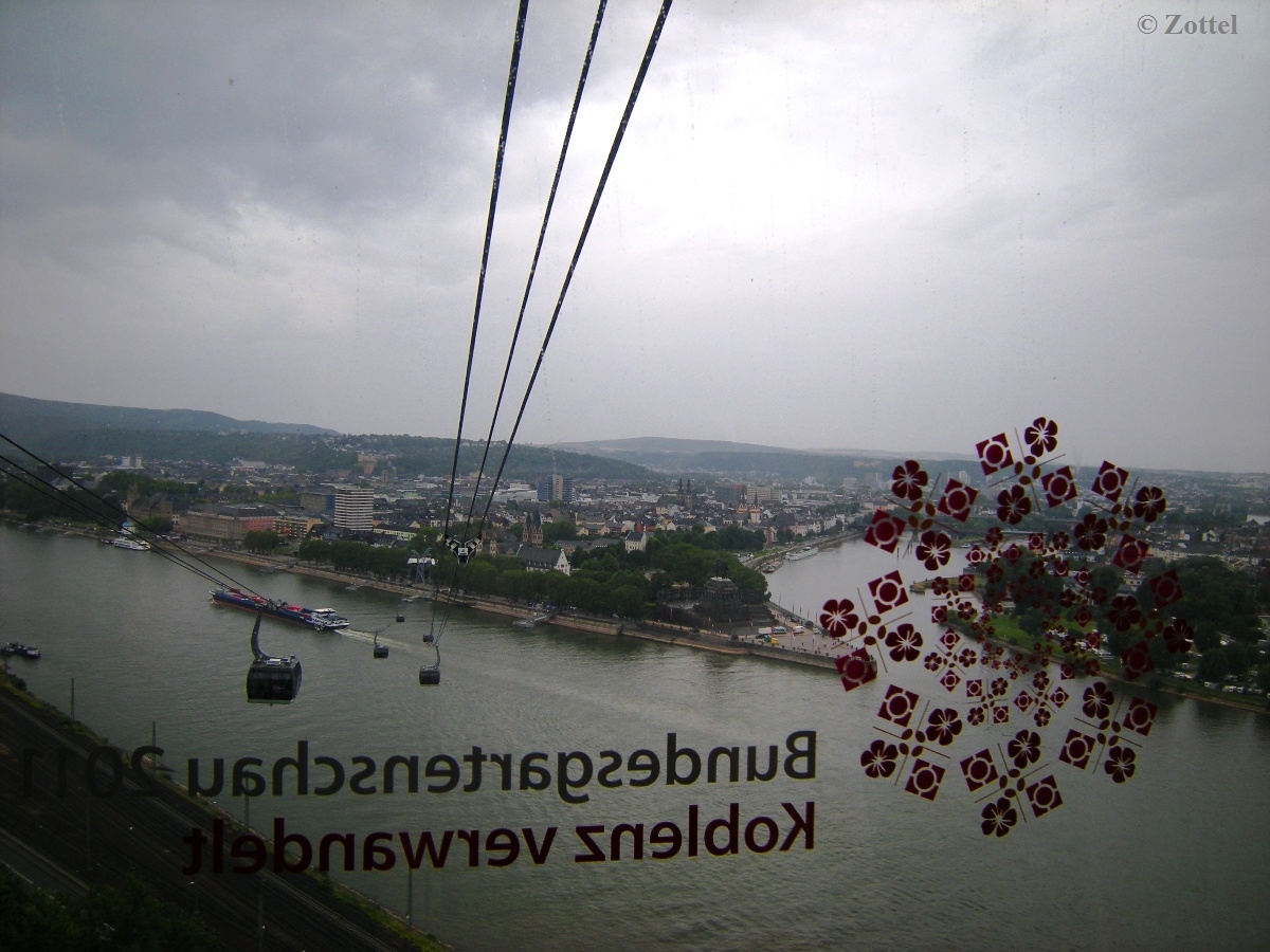 dscn7462svkk7.jpg