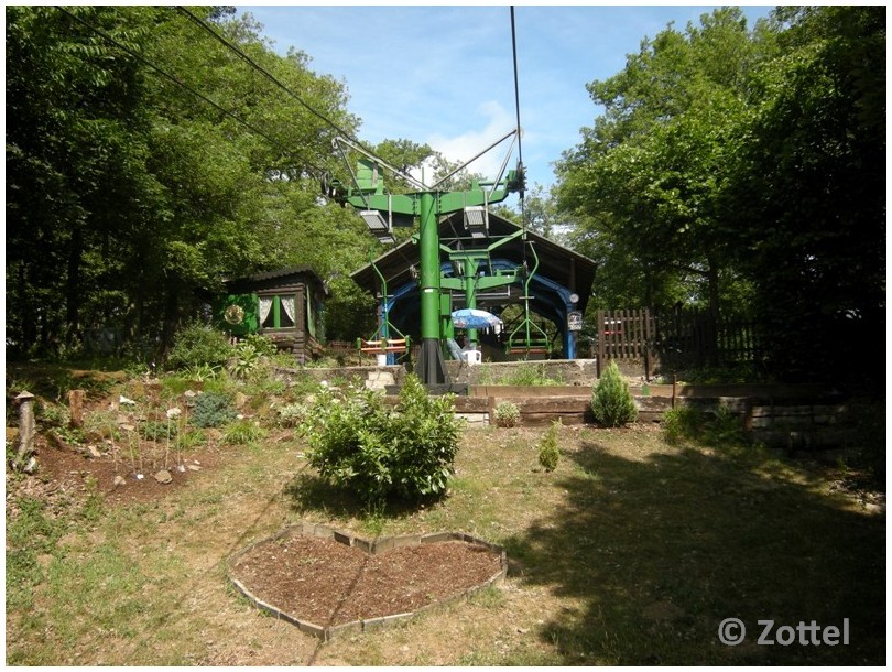 dscn7852lhj05.jpg