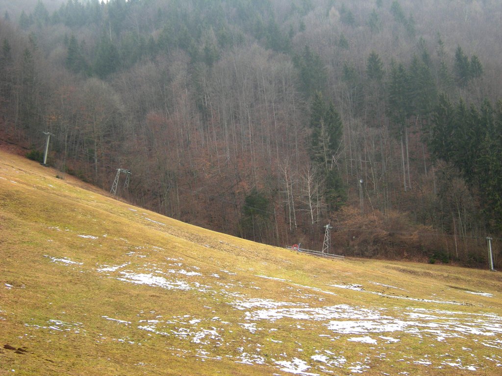 dscn9005fek94.jpg
