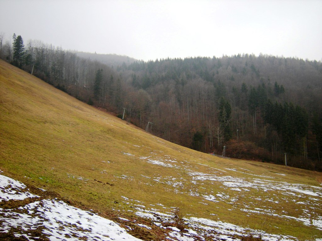 dscn9006wwjks.jpg