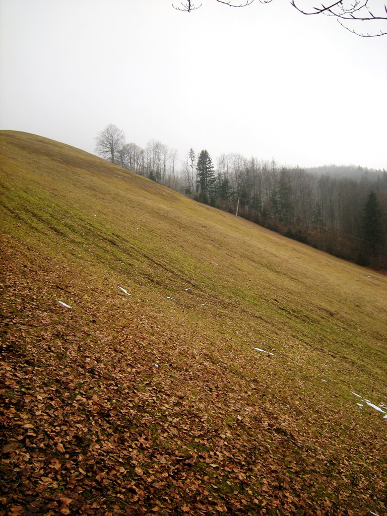 dscn9009pvj6r.jpg