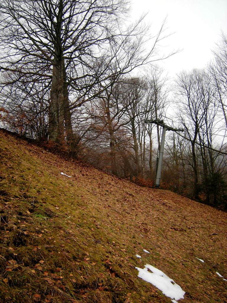 dscn9016rnjuj.jpg