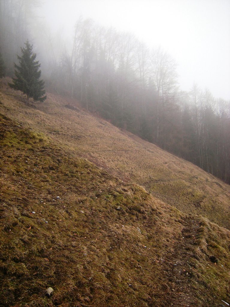 dscn9033yrj7g.jpg