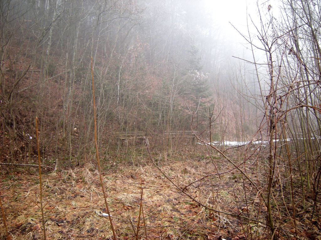 dscn9043dqk18.jpg