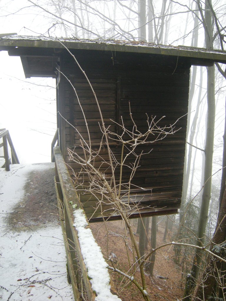 dscn9053qlk9c.jpg