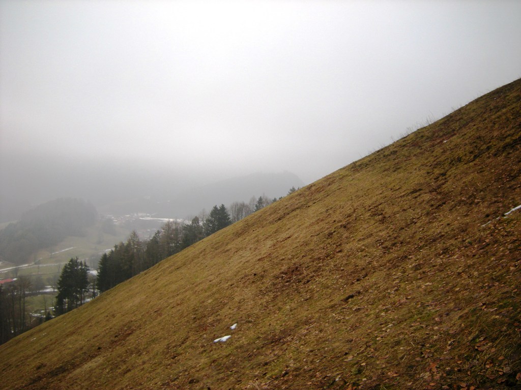 dscn90748yjry.jpg