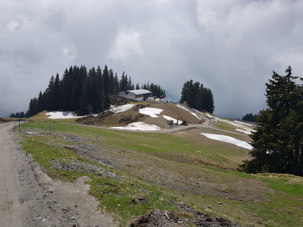 20190530_1259353dkkb.jpg
