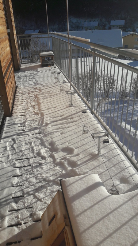 20170107_101812klai7.jpg