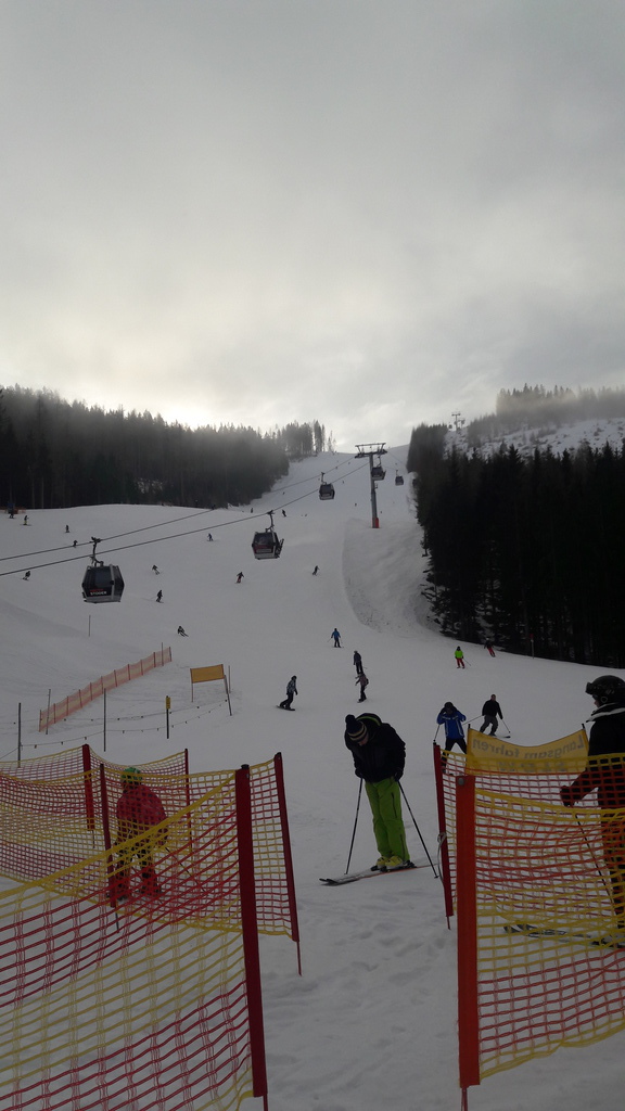 20180113_094819w9ub7.jpg