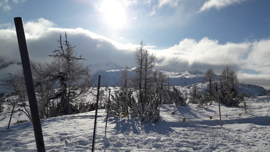 20180113_111330m7ucs.jpg