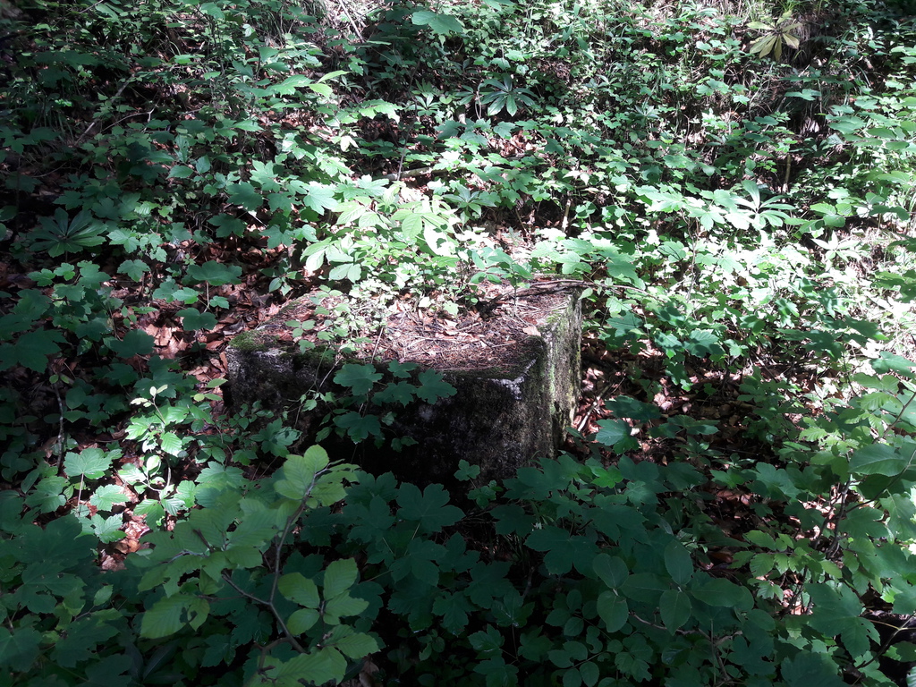 20180603_0947263jumt.jpg
