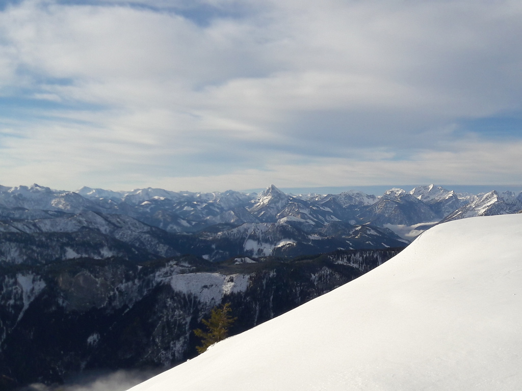 20181202_0936314scu5.jpg