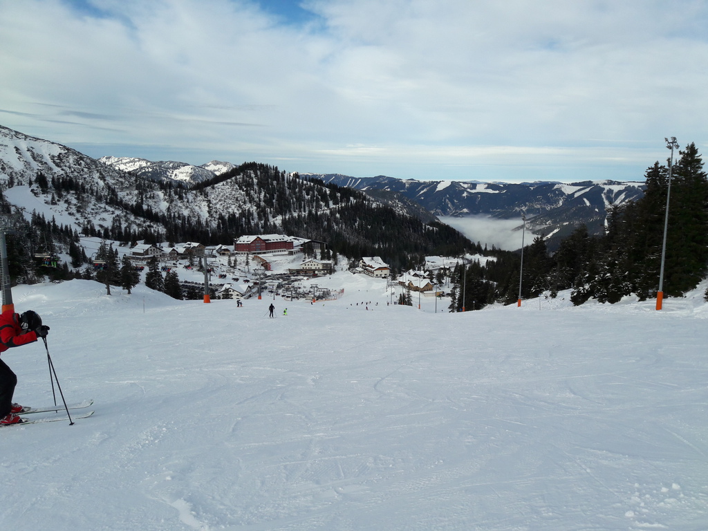 20181202_100230jnfe8.jpg