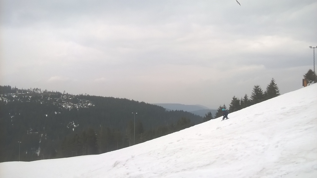 wp_20180326_15_52_03_xtsf1.jpg