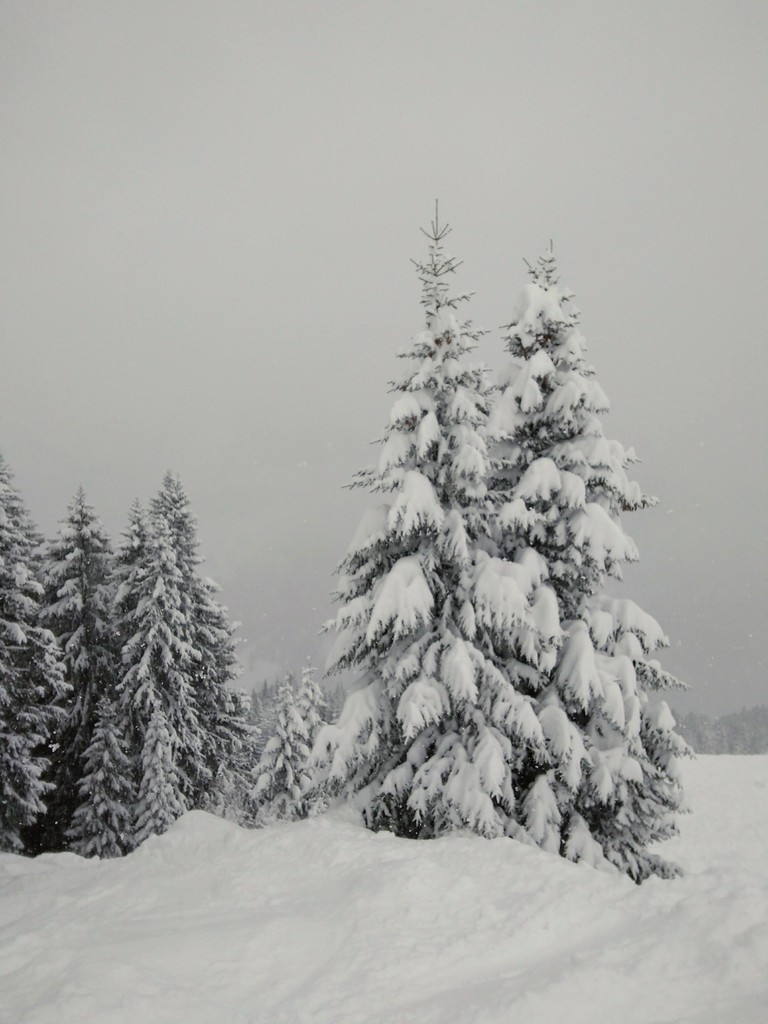 camerazoom-2017121712cks8p.jpg