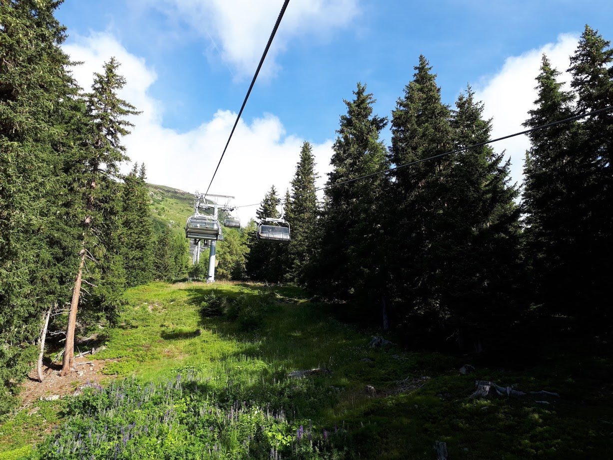 20180729_091735l1kyd.jpg