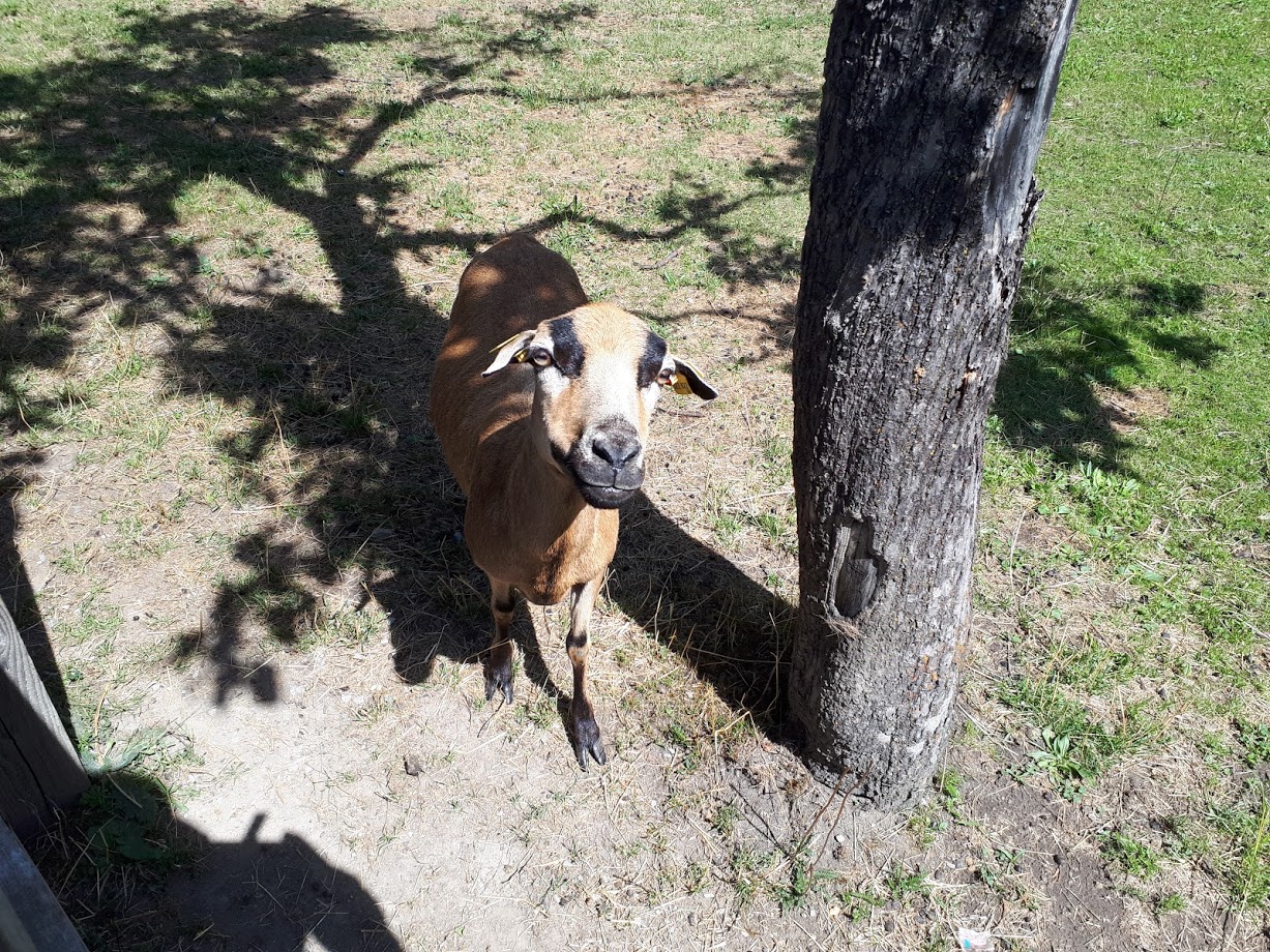 20180729_12253006jpm.jpg