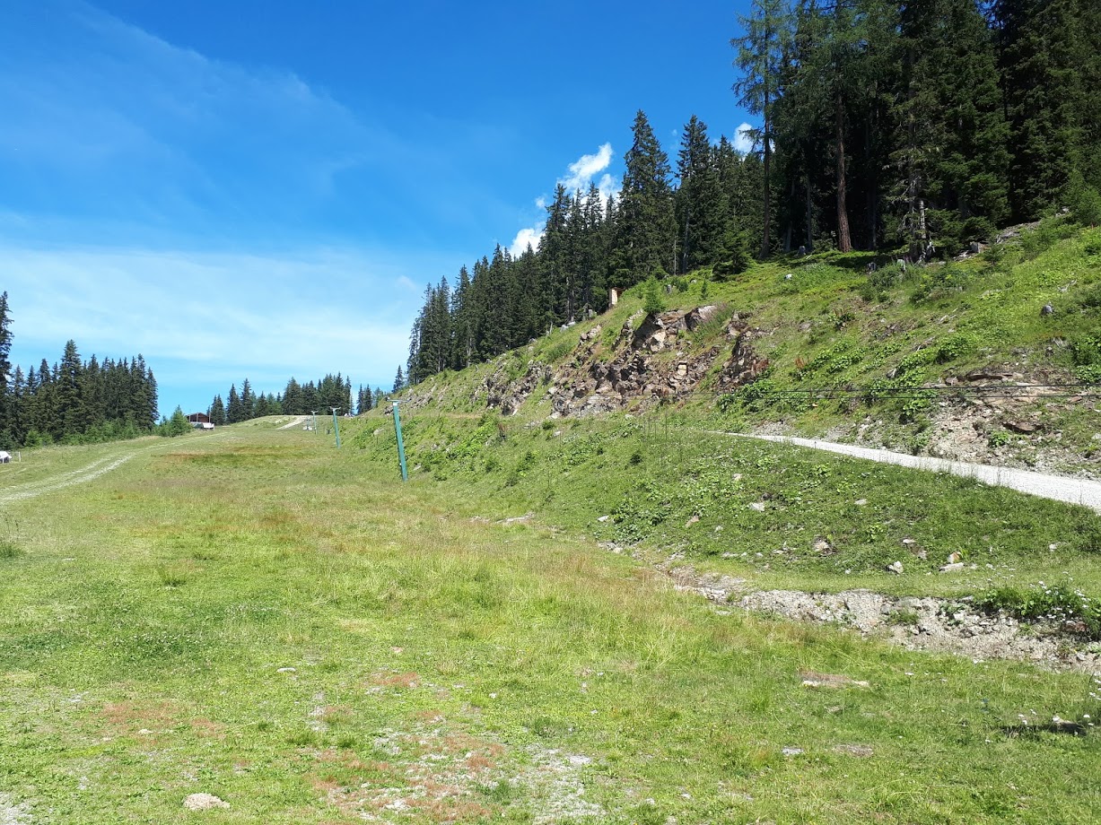20180729_144848pnkqb.jpg